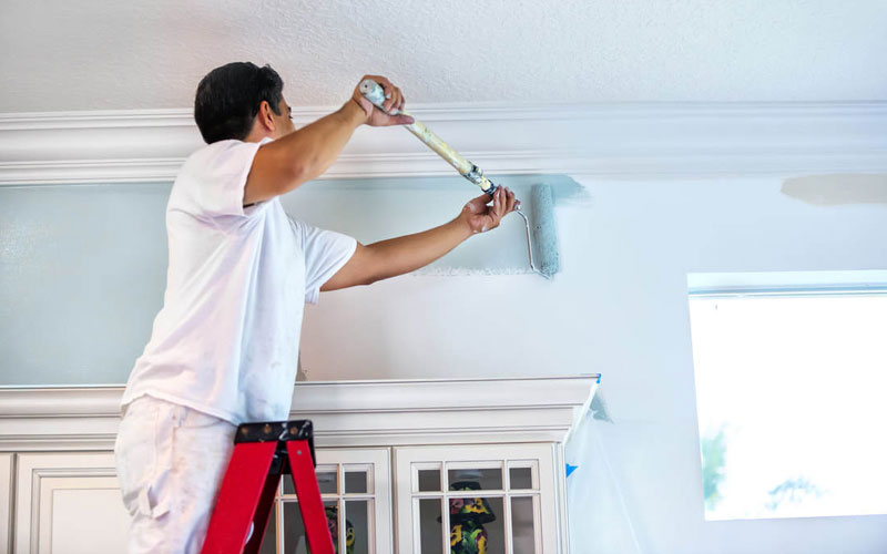 Best Painting Contractors Services In Delhi